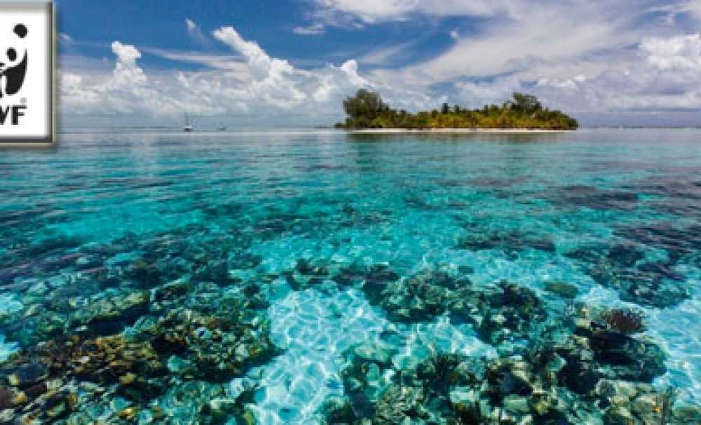 Dünyadaki 229 kültür ve doğal miras alanının 114 tanesi tehdit altında