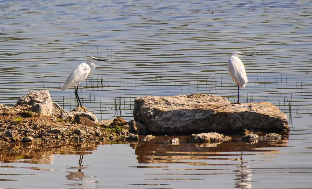 Gelecek Turizmde ile Buldan’da “Kuşlar Sizi Çağırıyor”