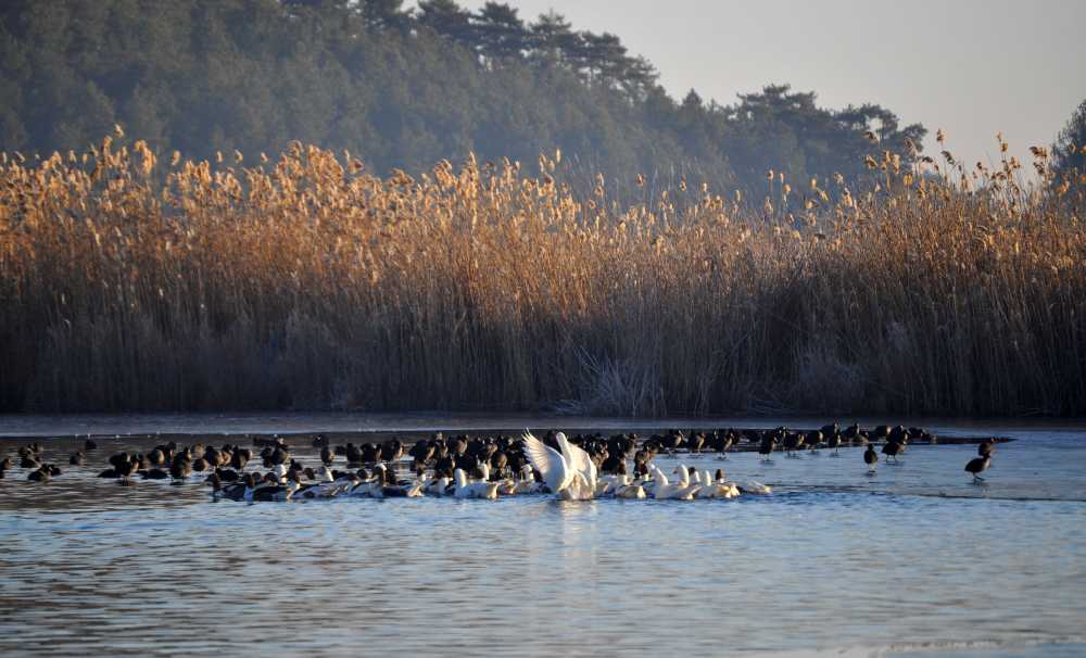 Gelecek Turizmde’nin 2017’de destekleyeceği projeler belli oldu