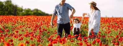 İlkbaharı Keşfetmenin En Güzel Hali TatilBudur’da